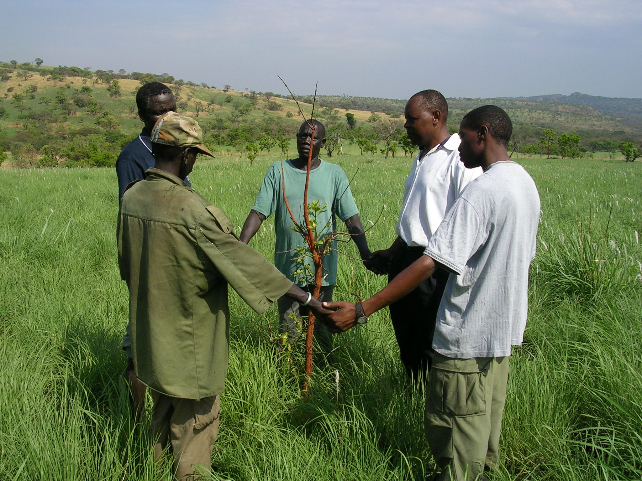Africa Compassion Mission